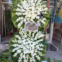 تاج گل ترحیم|گل و گیاه طبیعی|اردبیل, |دیوار