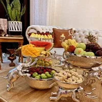 سرویس پذیرایی نو