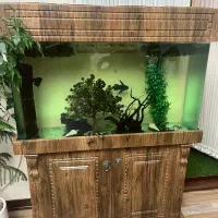 آکواریوم کاملا سالم پایین کمد تعدادی ماهی