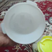 ابدون|لوازم جانبی حیوانات|مشهد, وحید|دیوار