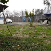 اجاره ویلا باغ بزرگ رضوانشهر|اجارهٔ کوتاهمدت ویلا و باغ|رضوانشهر, |دیوار