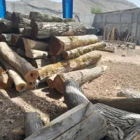 خریدار چوب|خدمات باغبانی و درختکاری|اصفهان, زاجان|دیوار