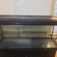 آکواریوم ماهی 1.5 متری خارجی خم دار