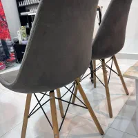 صندلی|آرایشگاه و سالنهای زیبایی|بندر انزلی, نوروزی|دیوار