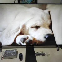 تلویزیون ۵۵ اینچ اولترا اچ دی سه بعدی