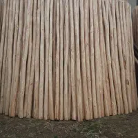 خریدار انواع چوب بابالاترین قیمت|خدمات باغبانی و درختکاری|کرمانشاه, |دیوار