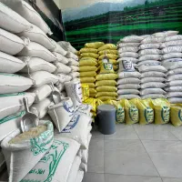 انواعِ برنجِ ایرانی(شمال)