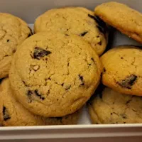 سفارش کیک و کوکی لیدی کیک تازه|خدمات پذیرایی، مراسم|بوشهر, |دیوار