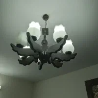 لوستر  و حباب|لوستر و چراغ آویز|قیامدشت - خاورشهر, |دیوار