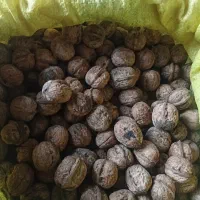 گردو جنگلی|خوردنی و آشامیدنی|دوزین, |دیوار