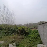 زمین-270متری-با-پروانه-ساخت-و-ویو-شالیزار