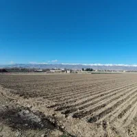 زمین-کشاورزی-نوکند-قولنامه
