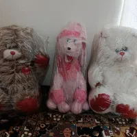 2عدد خرس پشمالو به همراه یک عدد سگ بامزه