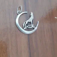 مدال نقره ماه وگرگ