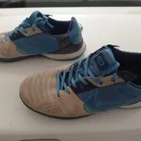 کتونی سالنی نایک