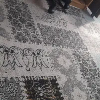 فرش|فرش|کرج, حصارک بالا|دیوار