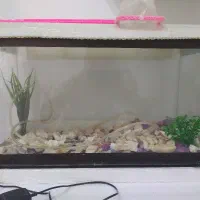 آکواریوم ماهی