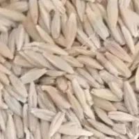خریدار جو