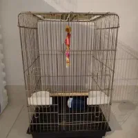 قفس کاسکویی ۱۰۳۳ و ۱۰۳۲ نو و در حد نو، تمیز و سالم