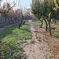 فروش ۹۵۰ متر باغ چهاردیواری در تهران‌سر|فروش دفتر صنعتی، کشاورزی، تجاری|تهران, تهران‌سر|دیوار