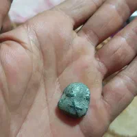 نشان دار|کلکسیون و سرگرمی|شیراز, لب آب|دیوار