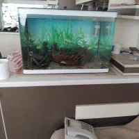 آکواریوم با همه امکانات