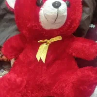 عروسک|اسباب‌‌بازی|رشت, تازه آباد|دیوار