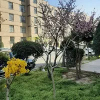 فاز۲اندیشه آپارتمان ۱۱۷متر۳خواب سنددار معاوضه