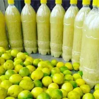 سبزی قورمه شوشتر وابلیموطبیعی|خوردنی و آشامیدنی|شاهین‌شهر, حافظ جنوبی|دیوار