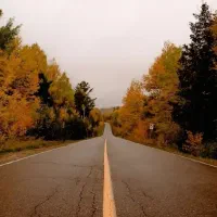بسته های کوچک|خدمات حمل و نقل|گنبد کاووس, |دیوار