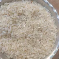 برنج کامفیروزی با کیفیت|خوردنی و آشامیدنی|صدرا-فارس, فاز ۱|دیوار