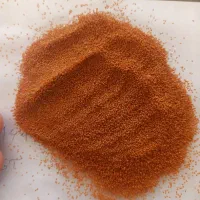 فروش خاکشیر رازیانه گشنیز|گل و گیاه طبیعی|کبودرآهنگ, |دیوار