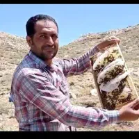 عسل طبیعی|خوردنی و آشامیدنی|ارمند, |دیوار