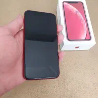 اپل xr دوسیم 128g|موبایل|قزوین, |دیوار