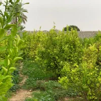 باغشهری  ۷۰۰ متری سند ثبت