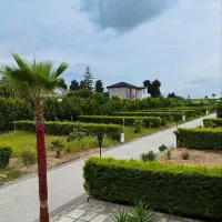 شهرک تاپ لول،چسب جنگل ،ازین بهتر نداریم