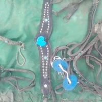 لوازم اسب دهنه آبخوری دهنه دی جنسD عالی