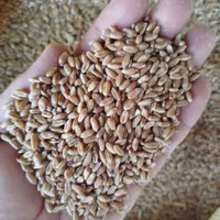 سویا و کنجاله‌ها|عمده‌فروشی|بهشهر, |دیوار