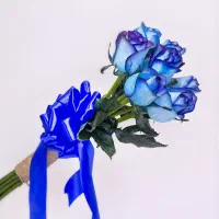 خریدارم وام مهربانی