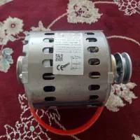 موتوژن