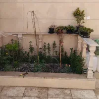 کاش باغچه حرص درخت کفبردرخت لوله کشی باغ وباغچه|خدمات باغبانی و درختکاری|قم, بلوار امین و ساحلی|دیوار