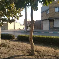 رهن-واجاره-زیرزمین-مغازه