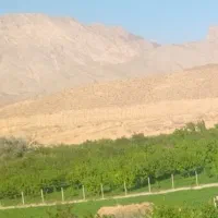 فروش باغ در سیه رود