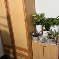 اجاره خوابگاهه دخترانه تازه تاسیس درپونک|اجارهٔ کوتاهمدت آپارتمان و سوئیت|تهران, شاهین|دیوار