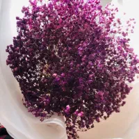 گل مصنوعی و طبیعی