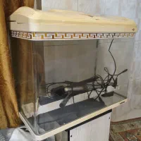 آکواریوم شرکتی ماهیران اصلی|ماهی|تهران, جنت‌آباد جنوبی|دیوار