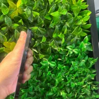 iPhone 14 promax|موبایل|بابل, |دیوار