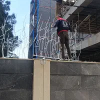 حفاظ روی دیوار شاخگوزنی.بوته خاری نرده پنجره در|خدمات پیشه و مهارت|مشهد, امیریه|دیوار