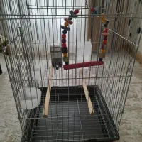 قفس پرنده  با لوازم