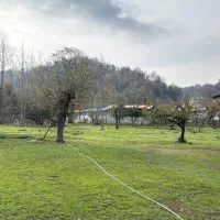 300-متر-زمین-جنگلی-آبشار-ویسادار-پره-سر